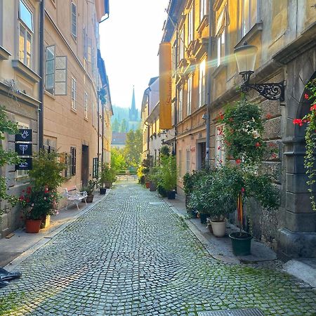 1Br Apartment On The Most Beautiful Street In Ljubljana Center מראה חיצוני תמונה