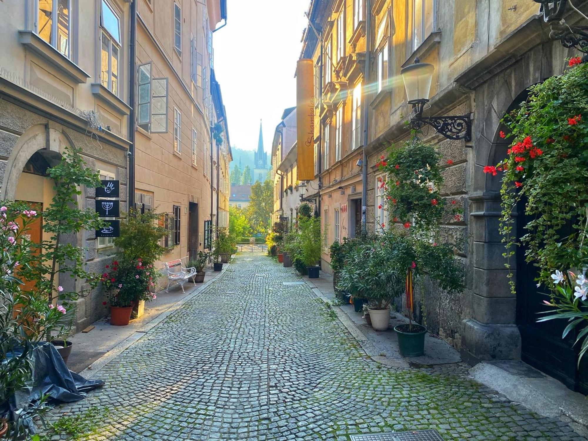 1Br Apartment On The Most Beautiful Street In Ljubljana Center מראה חיצוני תמונה